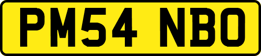 PM54NBO