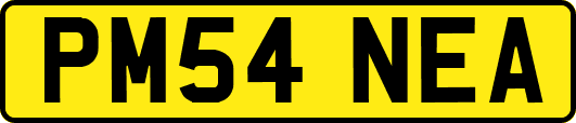 PM54NEA