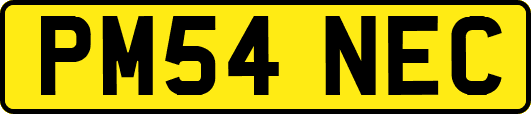 PM54NEC