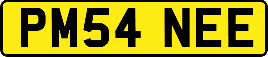 PM54NEE