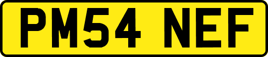 PM54NEF