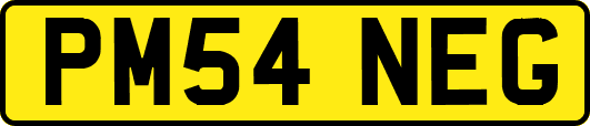 PM54NEG
