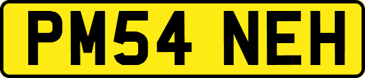 PM54NEH