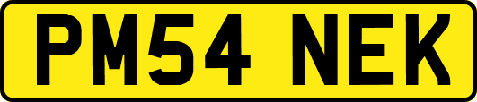 PM54NEK