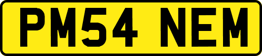 PM54NEM