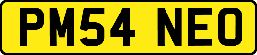 PM54NEO