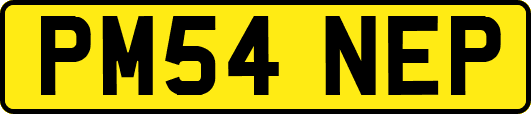 PM54NEP