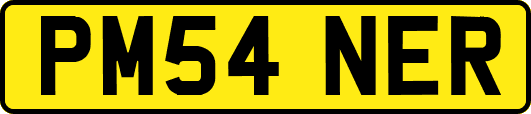 PM54NER