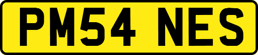 PM54NES