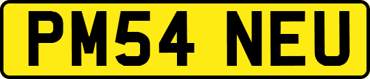 PM54NEU
