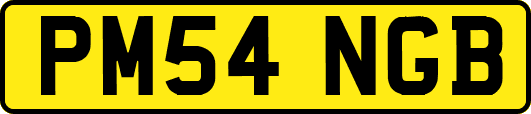 PM54NGB