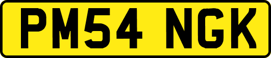 PM54NGK