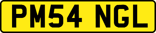 PM54NGL