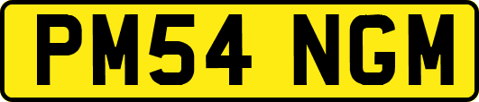 PM54NGM