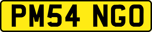 PM54NGO