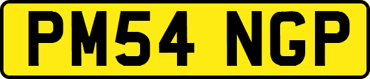 PM54NGP