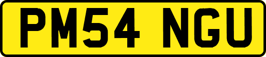 PM54NGU
