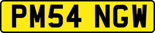 PM54NGW