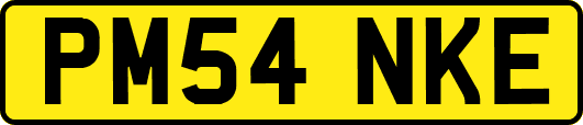 PM54NKE