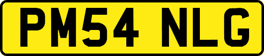 PM54NLG