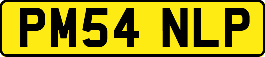 PM54NLP