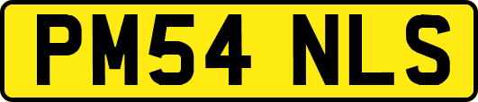 PM54NLS