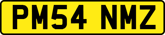 PM54NMZ