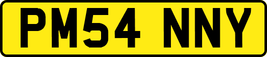 PM54NNY