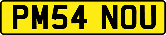 PM54NOU