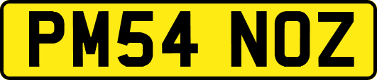 PM54NOZ