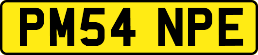 PM54NPE