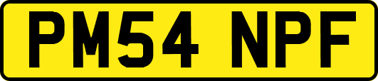 PM54NPF