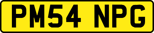 PM54NPG