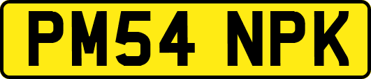 PM54NPK