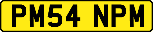 PM54NPM