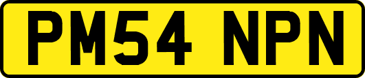 PM54NPN