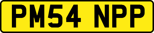 PM54NPP