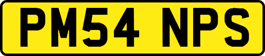PM54NPS