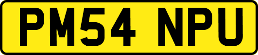 PM54NPU
