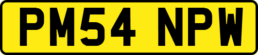 PM54NPW