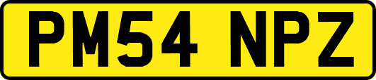 PM54NPZ