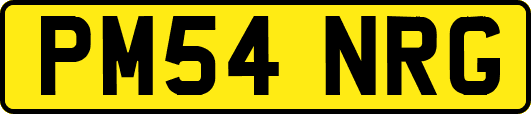 PM54NRG