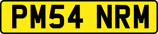 PM54NRM