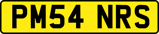 PM54NRS