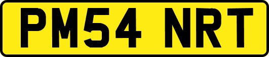 PM54NRT