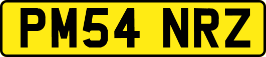 PM54NRZ