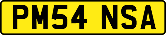 PM54NSA