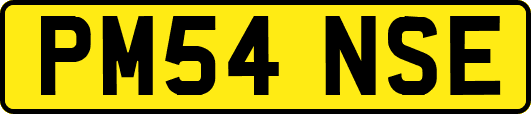 PM54NSE