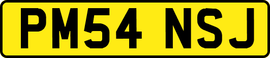 PM54NSJ