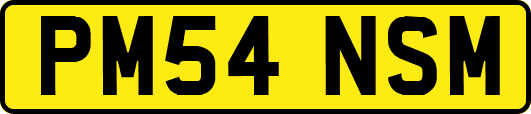 PM54NSM